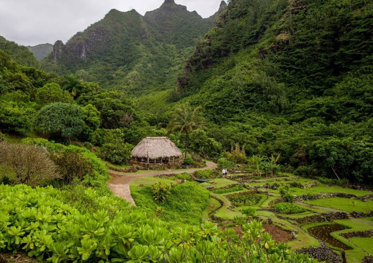 Princeville Botanical Gardens, United States